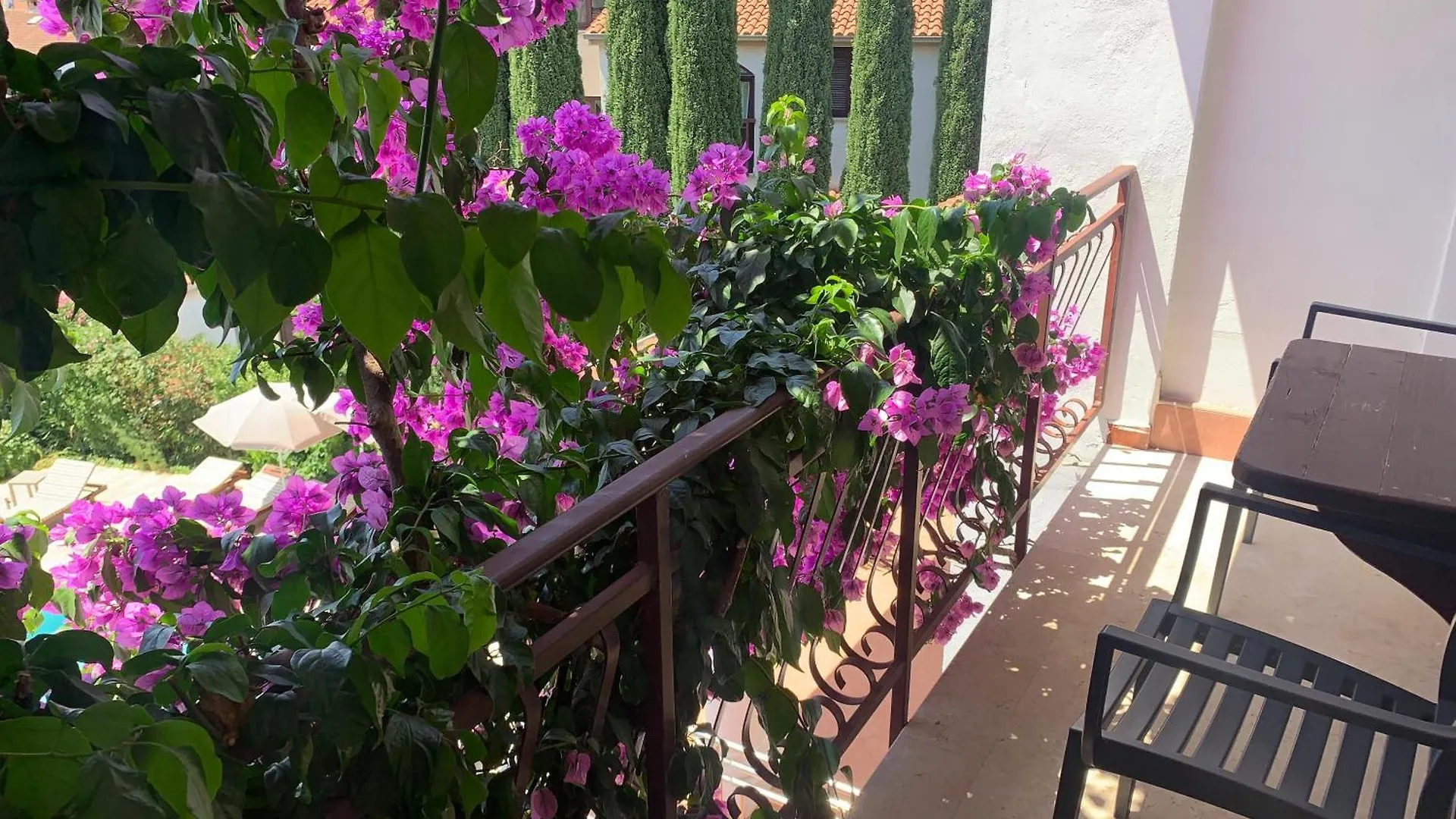 Gargamelo Pension Poreč