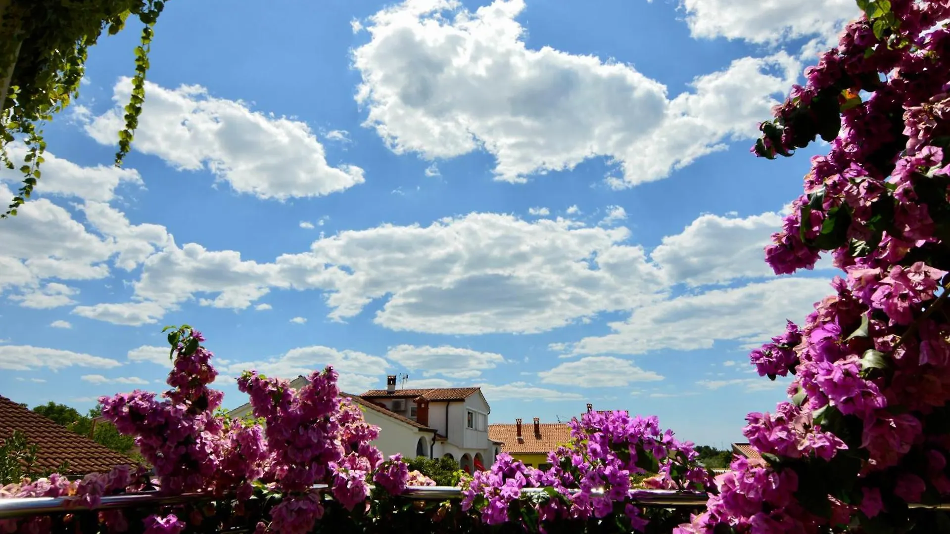 Gargamelo Pension Poreč